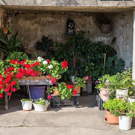 Apartmán Mijanka Cavtat
