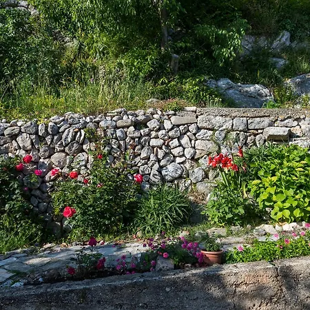 Mijanka Apartment Cavtat